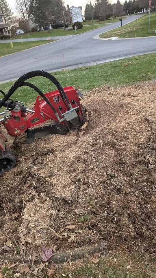 A stump grinder working a stump down in a front lawn