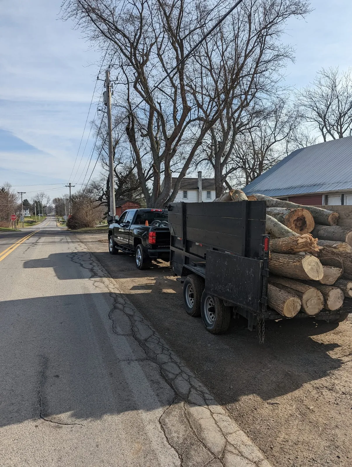 A pickup and a dump trailer loaded with logs, parked by the road